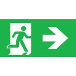 Pictogram noodverlichting Normalux Ecolight PSNEXCERE Pictogram noodverlichting Normalux Ecolight PSNEXCERE